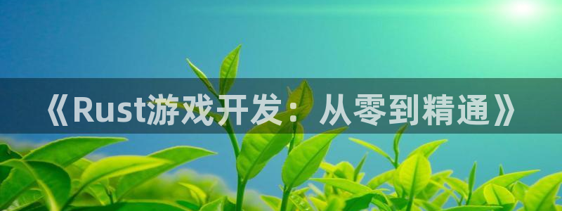 28大神在线：《Rust游戏开发：从零到精通》