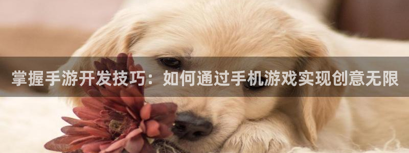 pc大神28app官网下载：掌握手游开发技巧：如何通过手机游