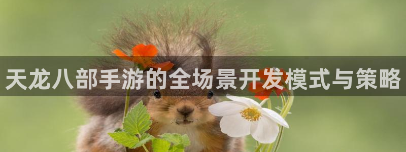 28大神眯牌：天龙八部手游的全场景开发模式与策略