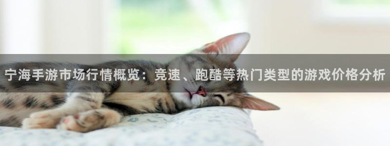 大神28吧：宁海手游市场行情概览：竞速、跑酷等热门类型的游戏