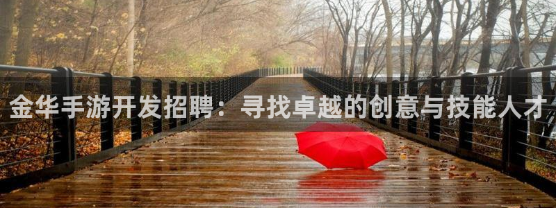 28大神苹果怎么下载：金华手游开发招聘：寻找卓越的创意与技能