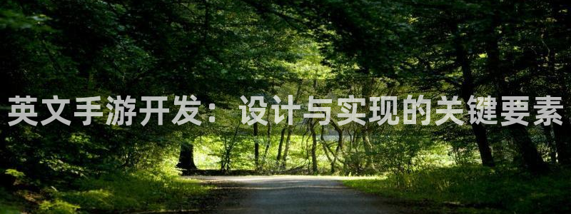 大神28助手：英文手游开发：设计与实现的关键要素